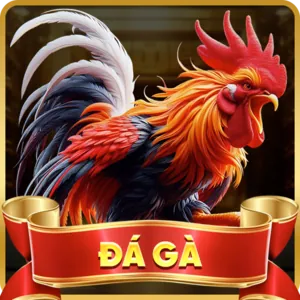 Biểu tượng chính sách bảo mật, minh họa cam kết của dagac3 app ios trong việc bảo vệ quyền riêng tư.
